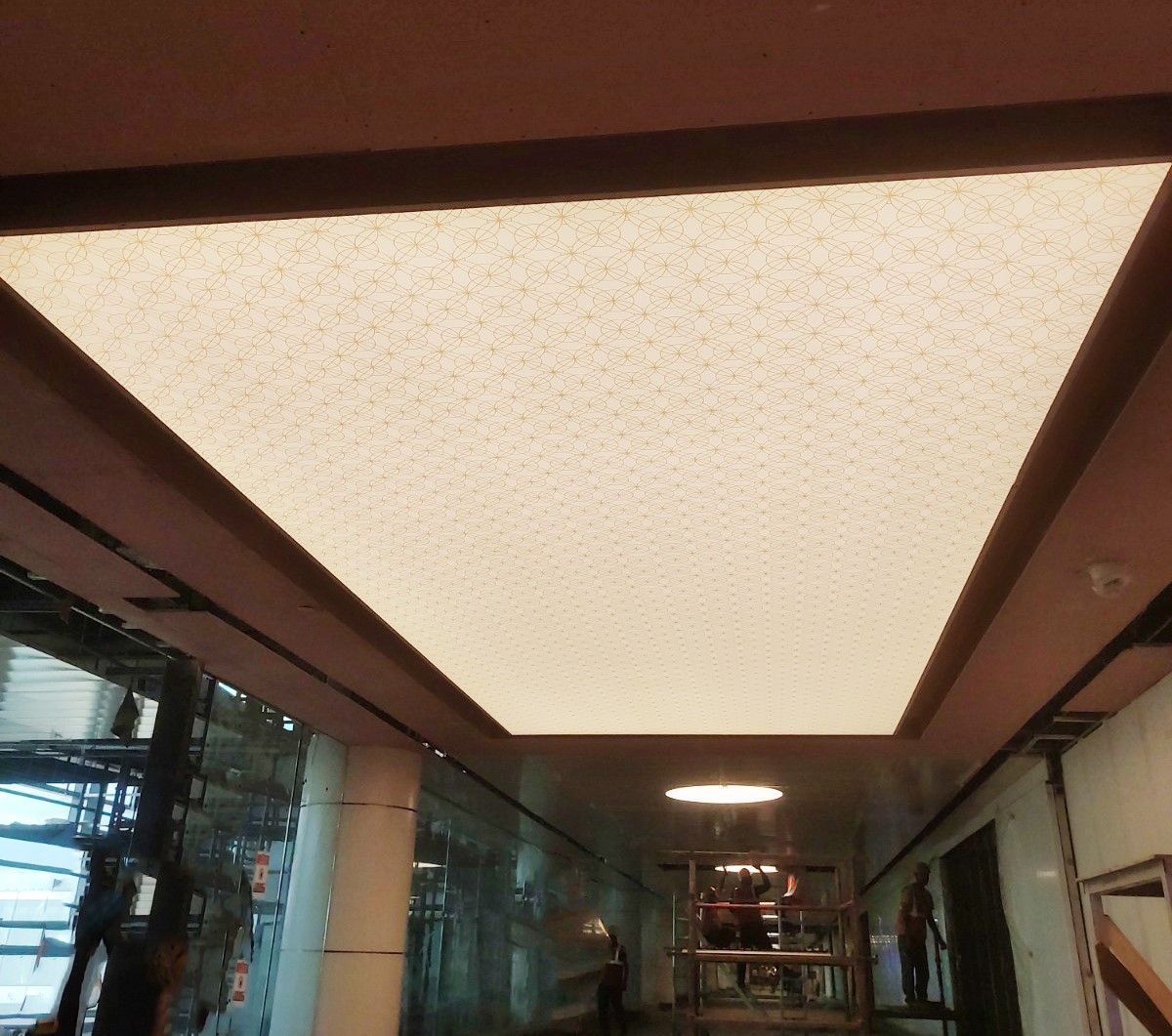 our project